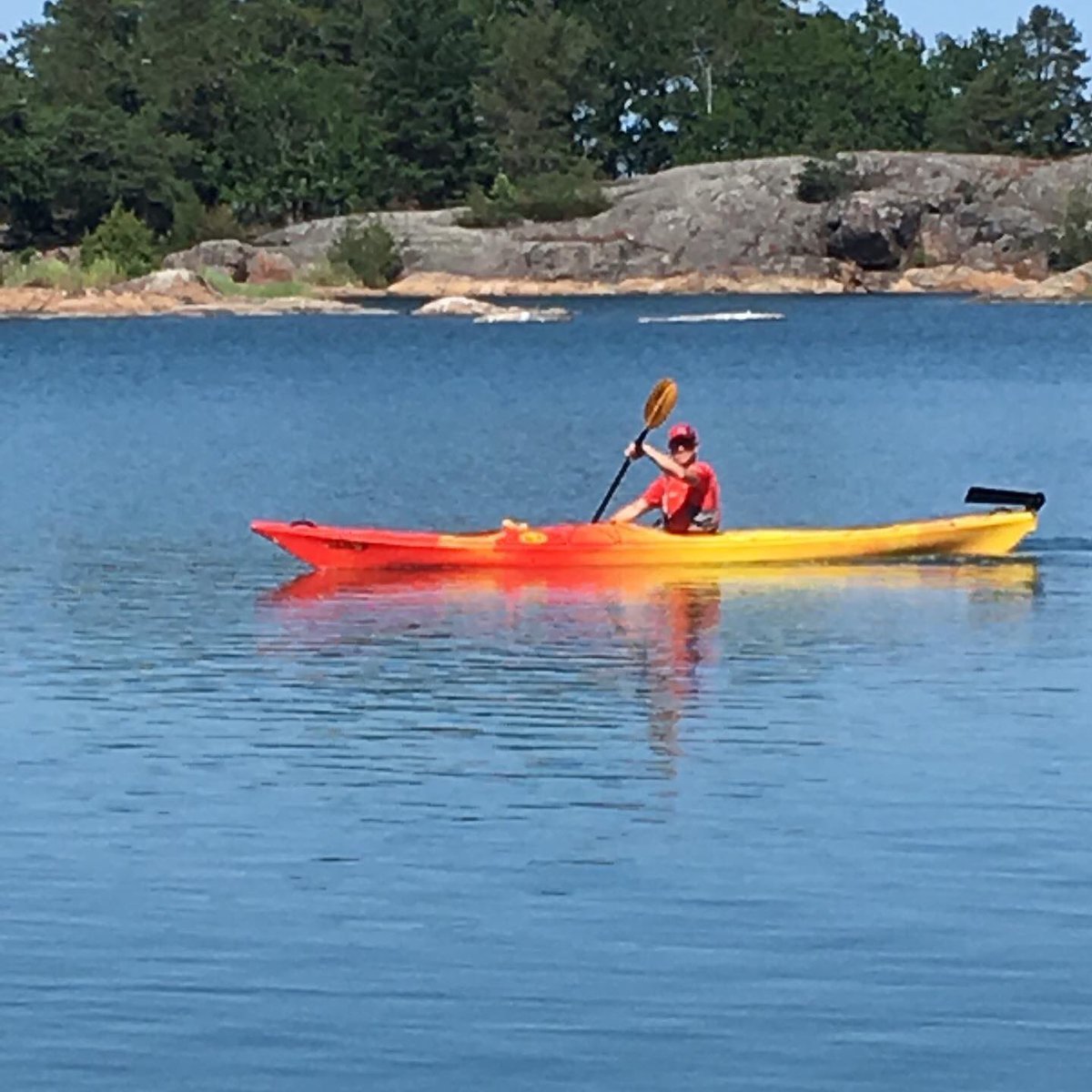 Sverige är fantastiskt 🇸🇪😎