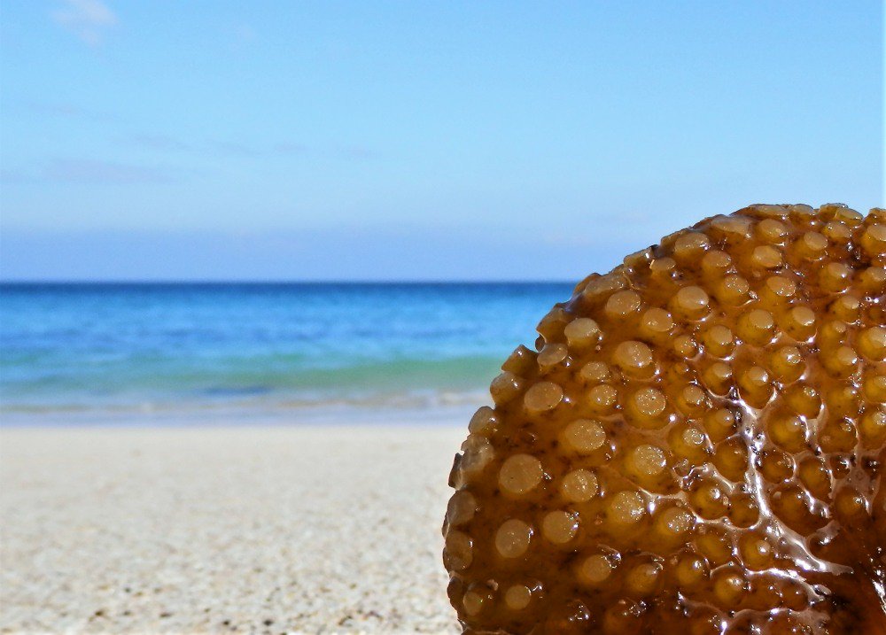 Friends of Portheras tweet media