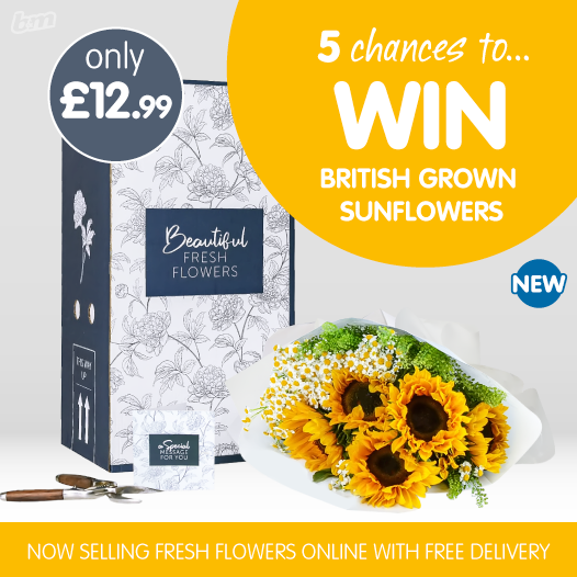 🌻#COMPETITION TIME🌻

To celebrate the sun FINALLY making an appearance, we're giving away FIVE chances to #WIN a stunning #Sunflower bouquet! ow.ly/nxxd50uOUwY

For your chance to WIN, simply FLW/RT &amp; COMMENT the last time you bought flowers!

Competition ends 9am 4/7/19