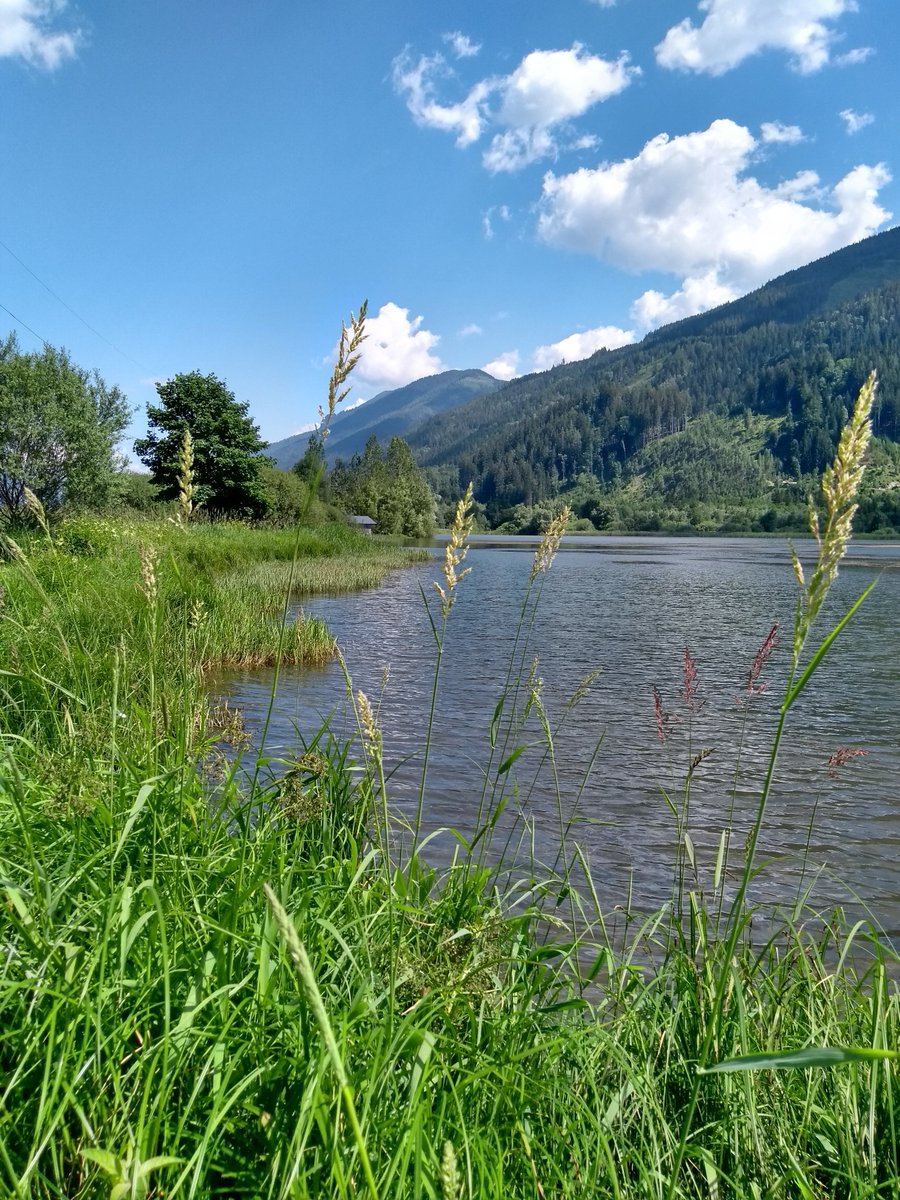 kreaWERFT's tweet photo. [Follower Greetings]

Here's a picture from my neighbourhood. Have a very nice Sunday evening, and a good start into the week, dear Tweeters!

#HaveAGreatWeek #GaishornerSee #Styria #Austria #MoodPic https://t.co/iyuCGyvELz