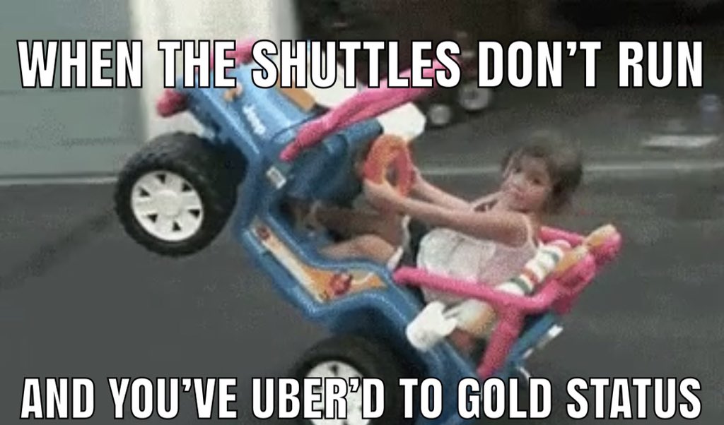 TSA Memes tweet media