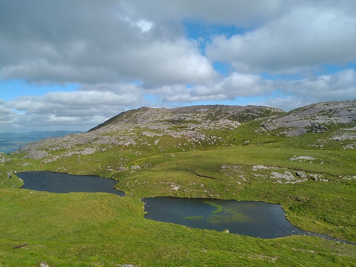 6 new tops in the bag this evening. Nareera-Sugarloaf ridge, Béara Peninsula, part 1.

#beara #bearaway #bearapeninsula #nareera #sugarloafmountain #bantrybay #ireland #hike #hiking #caha #cahamountains #glengarriff #vista