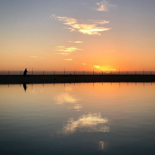 Mark Newhouse tweet media