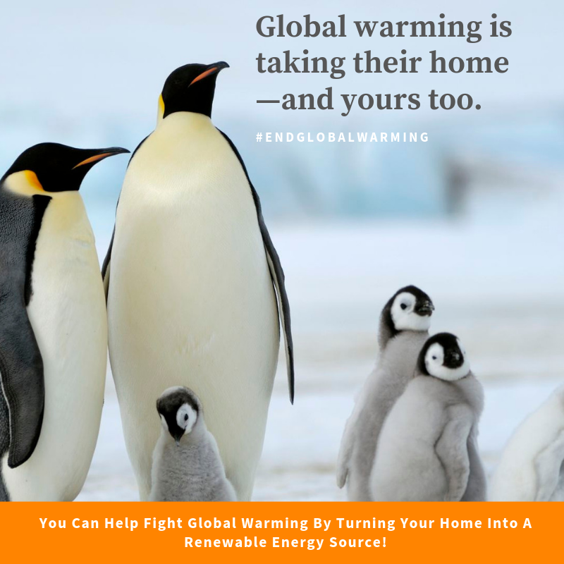 s4aofficial's tweet photo. Renewable energy is one of the most effective tools we have in the fight against climate change. Fight back by turning your home into a Renewable Energy Source. 

#petersendean #solar4america #globalwarming https://t.co/XB73yumEAQ