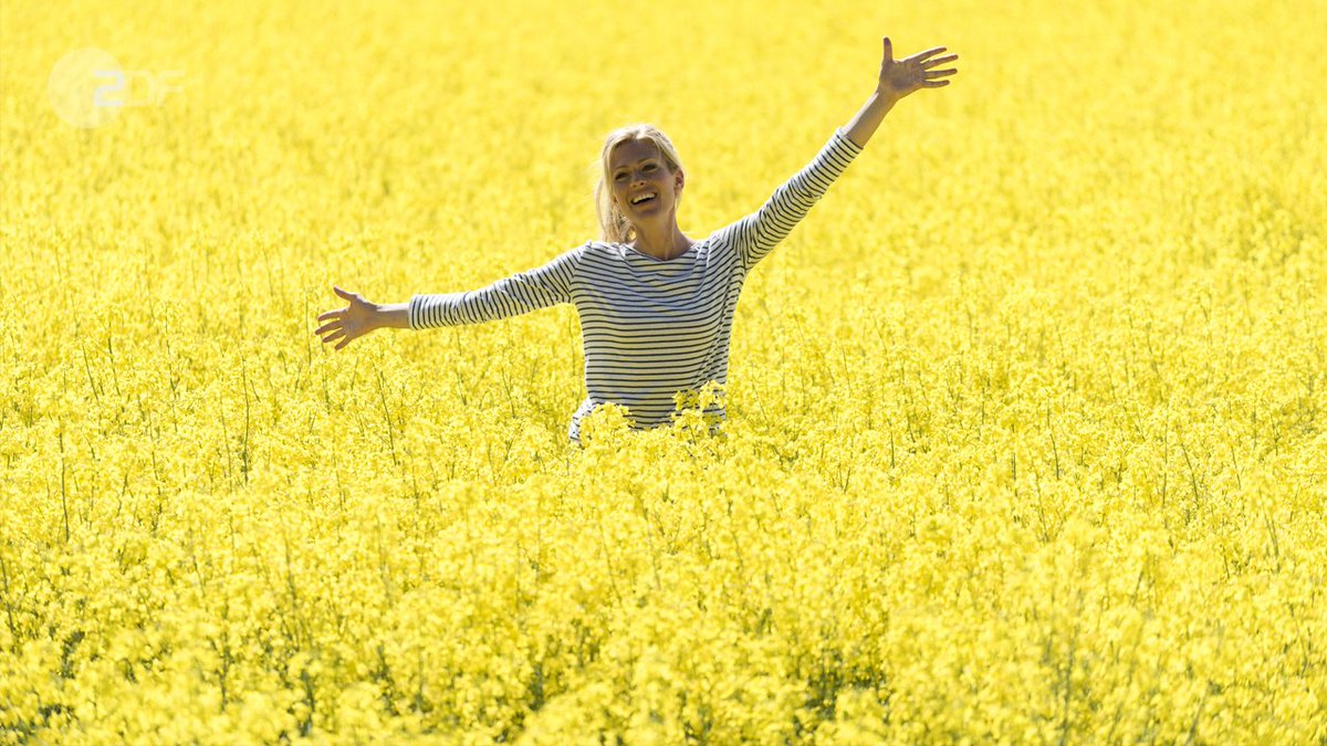 "Inga Lindström: Das Postboot in den Schären": Saga (Nele Kiper) steht lachend im gelb blühenden Rapsfeld. Sonntag, 20:15 Uhr im ZDF.
