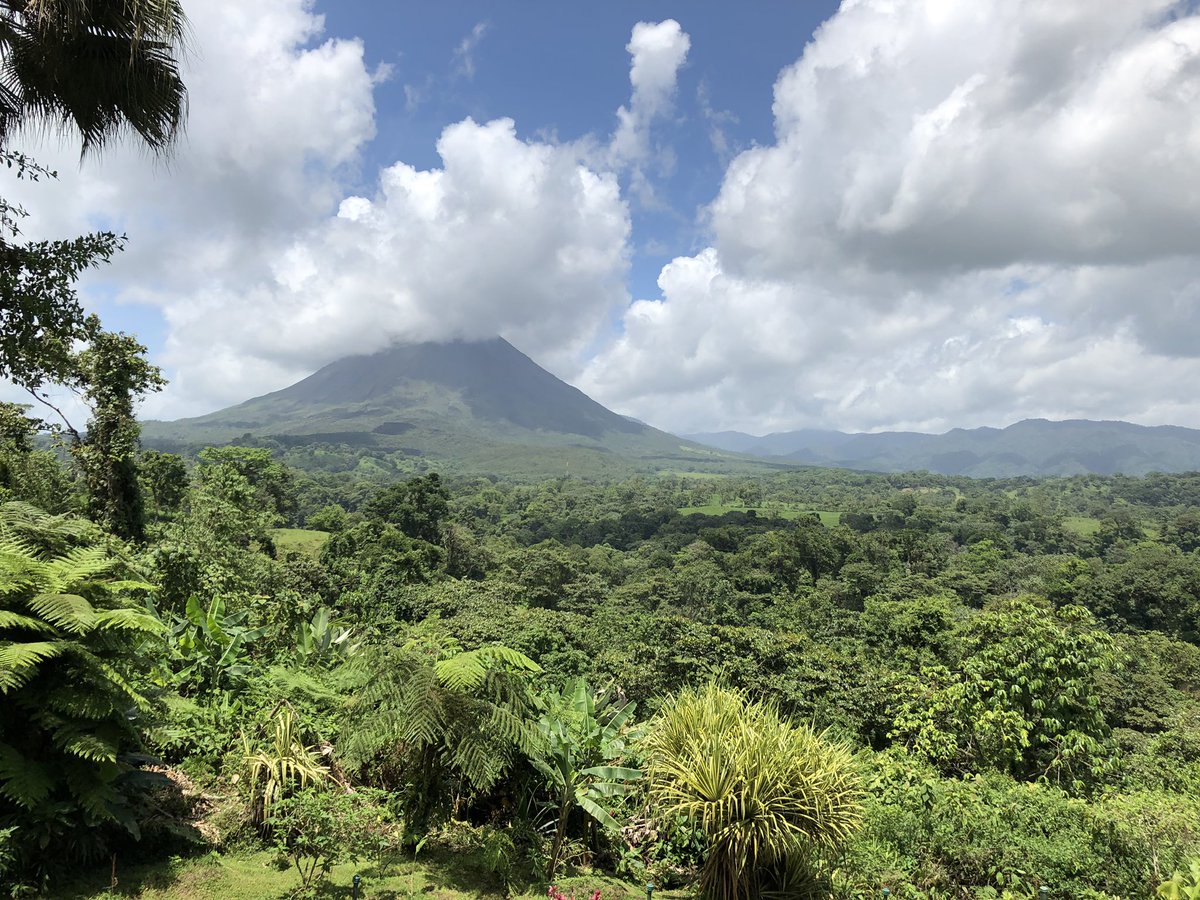 ScotEWells's tweet photo. Sometimes you just have to get away and escape to a jungle paradise https://t.co/n7b9KEAh48