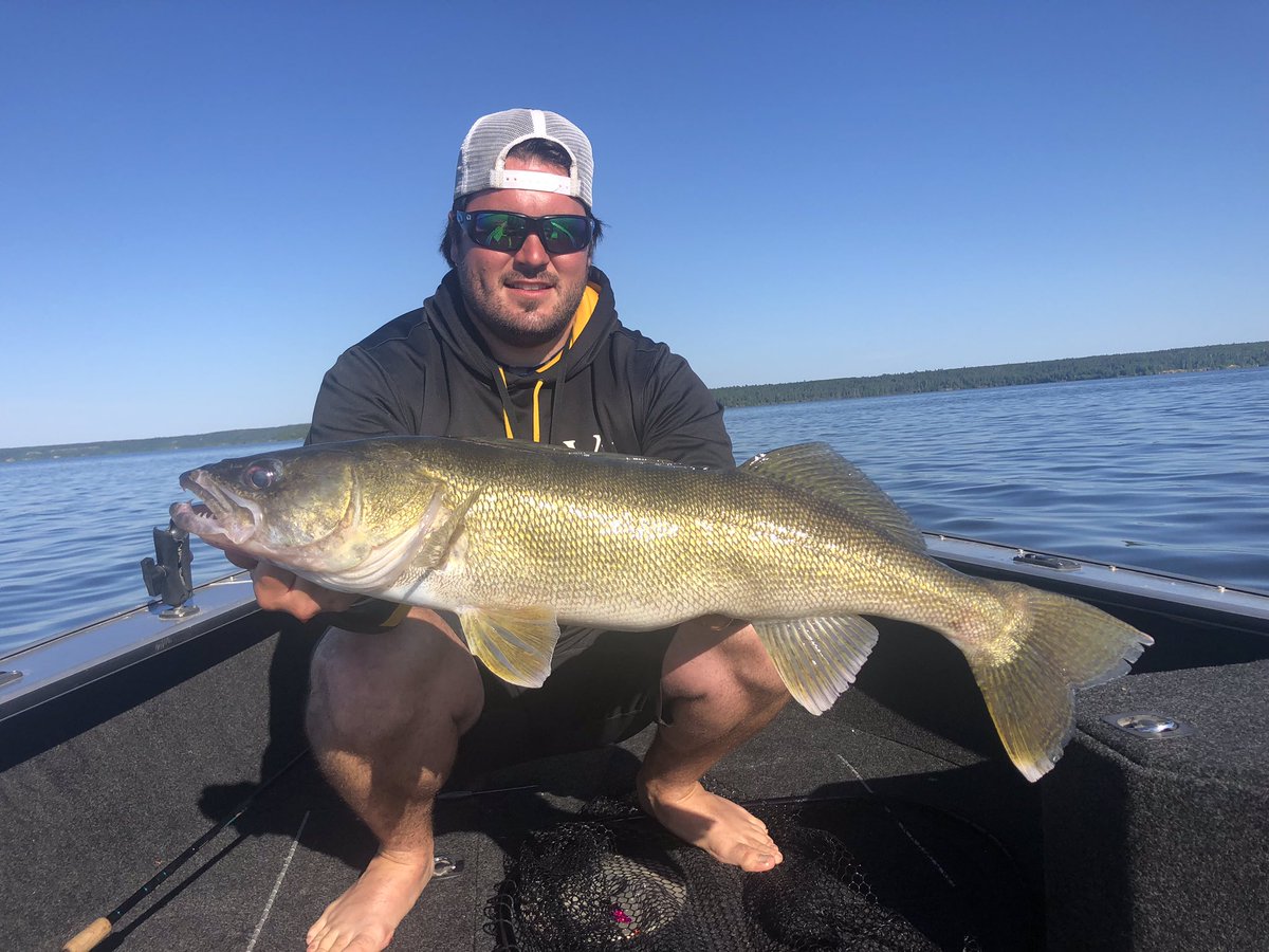 Nathan Paradis tweet media