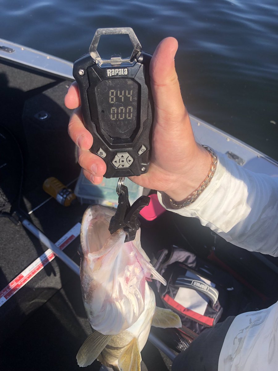 The fishing is the best I’ve seen in a long time! She’s a great time to be out there chasing walleyes! @GloProLures  #GPLPatriotOpen #walleye