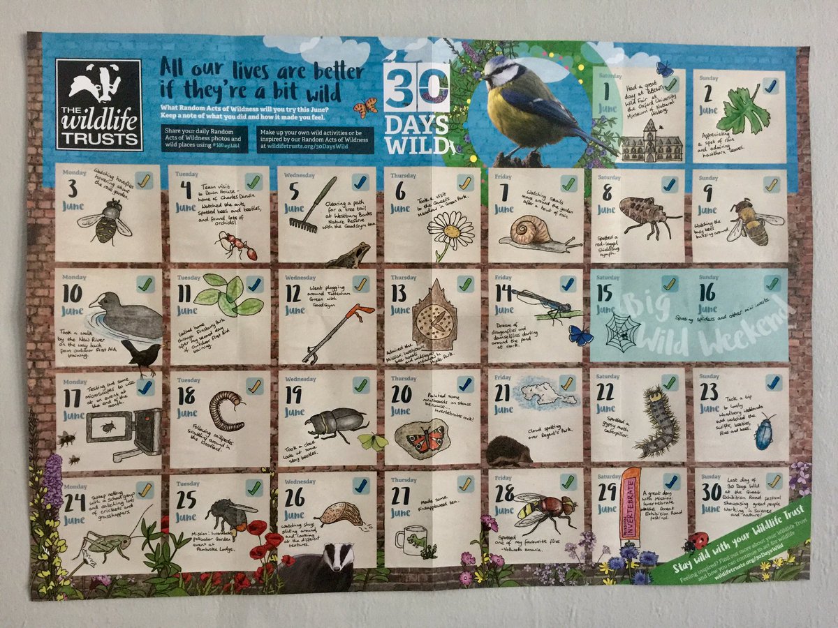 30 Days Wild June 2019! </div>
<div id=