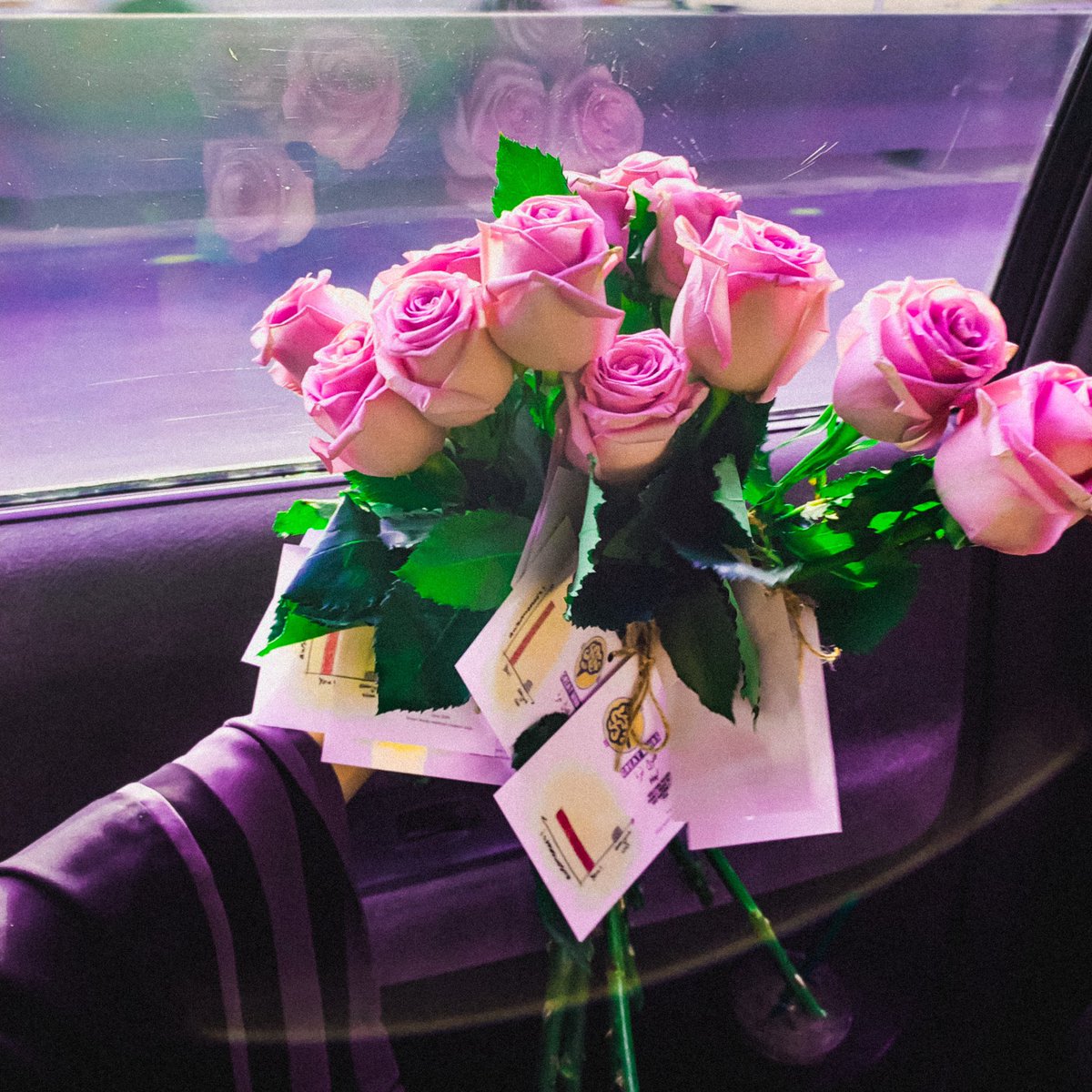 Greatmindss1's tweet photo. سُعدنا اليوم بلقاء بعض أعضاء أسرة عقول نيّرة الجُدد ، شكراً لحضوركم 🌟 https://t.co/fMwQqm9nYl