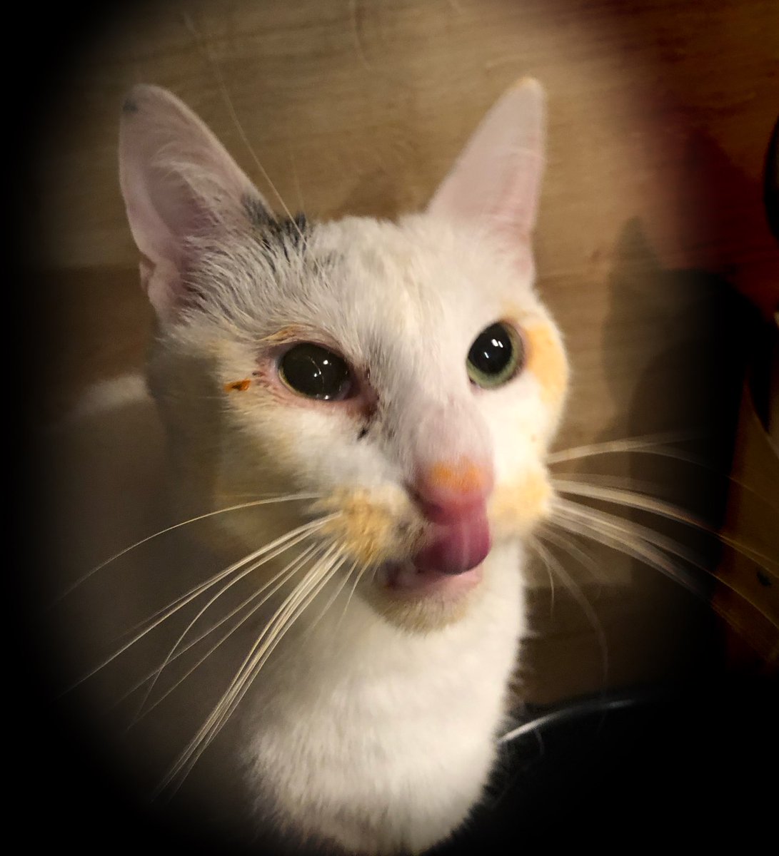 Tomatensoße? Nie gesehen 😇 Wirklich nicht 😏😋