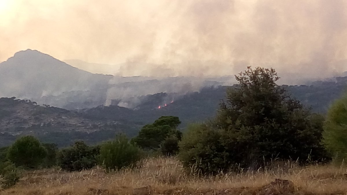 dariusvelascus's tweet photo. Vista del #incendio entre #Almorox y #Cadalso de ayer a las 21h desde #Elencinar del Alberche y hoy sigue sin control. Una pena este paraje de pinos y encinas maravilloso, quemado https://t.co/6surrISzNi