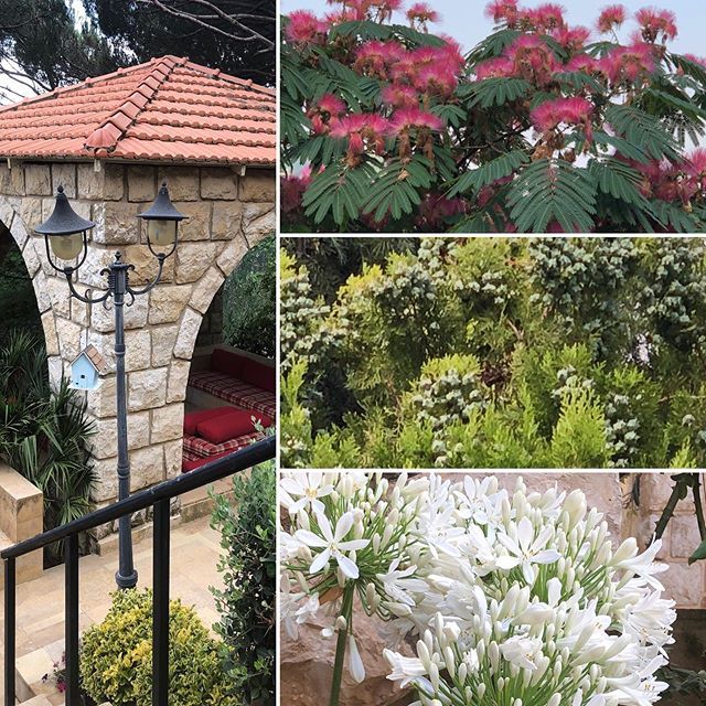 RonFarra's tweet photo. Summer in #lebanon #baabdate https://t.co/CwPl3wd7aH https://t.co/YpGlpnwD1Z