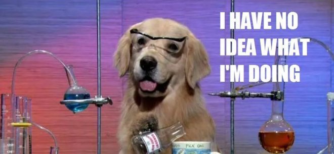 Йорк за компьютером. No idea tom. Have no idea what im doingdog. I have no idea what i'm doing. Мем хеликоптер оригинал.