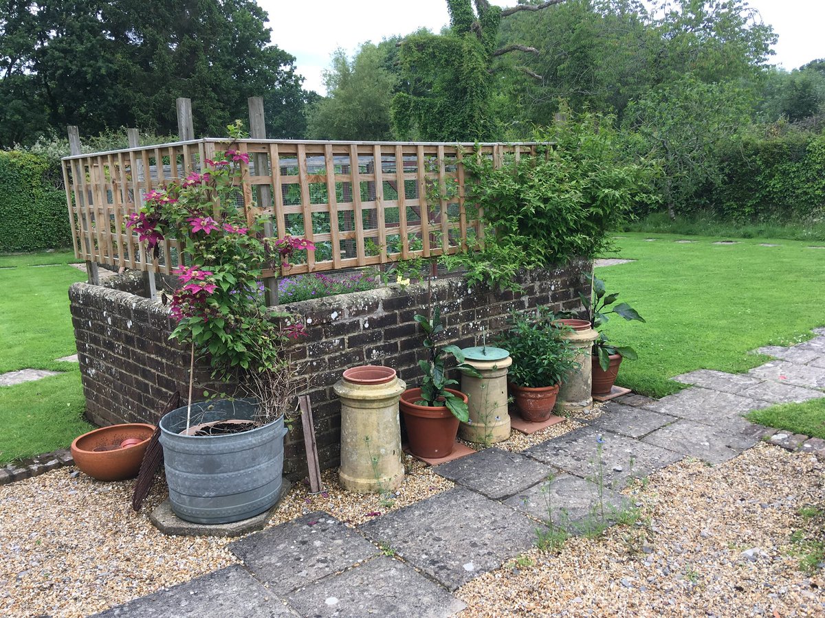 NewForestDog's tweet photo. @TangoMango9 @JessPals @ZombieSquadHQ @BennyBoygr @MrStripeyLegs @Jemima114 @PottsAndPlum @LynnieYankee #viewfrombackdoor https://t.co/sydUujZbmV