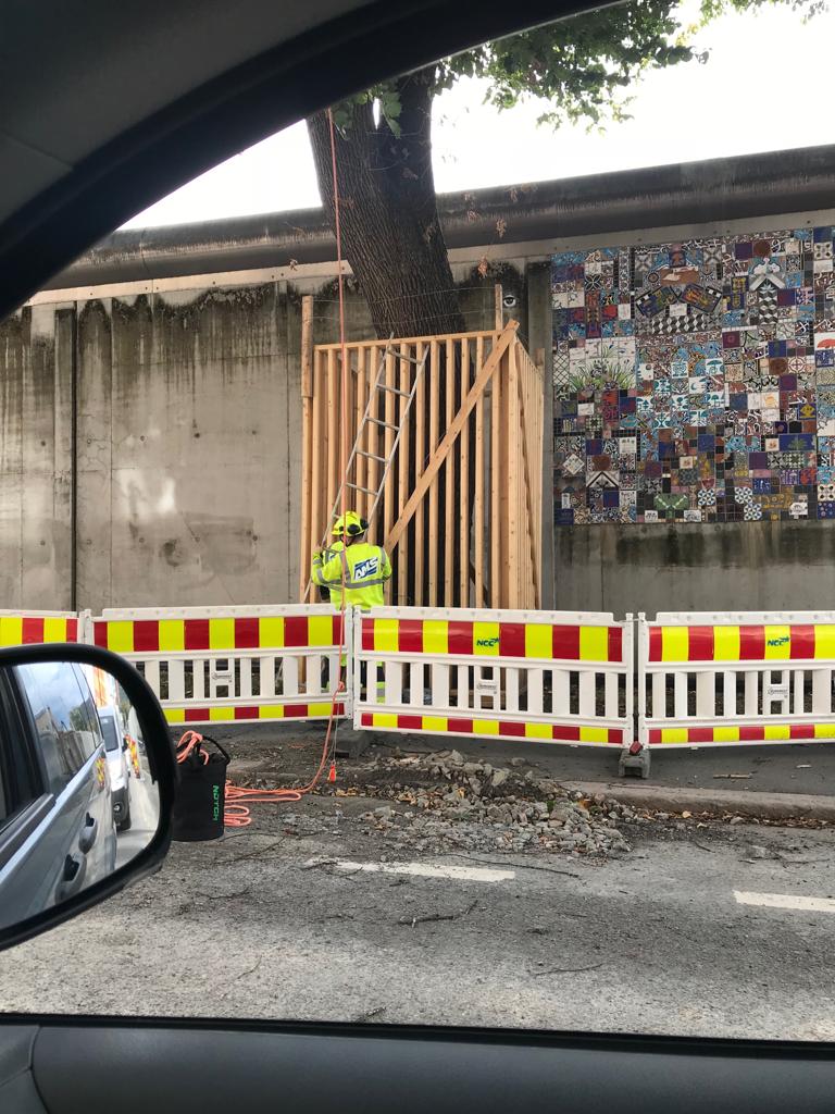 Ağaçtaki vefaya bak, kendine hayrı yok ama arkadaşına desteğe gelmiş