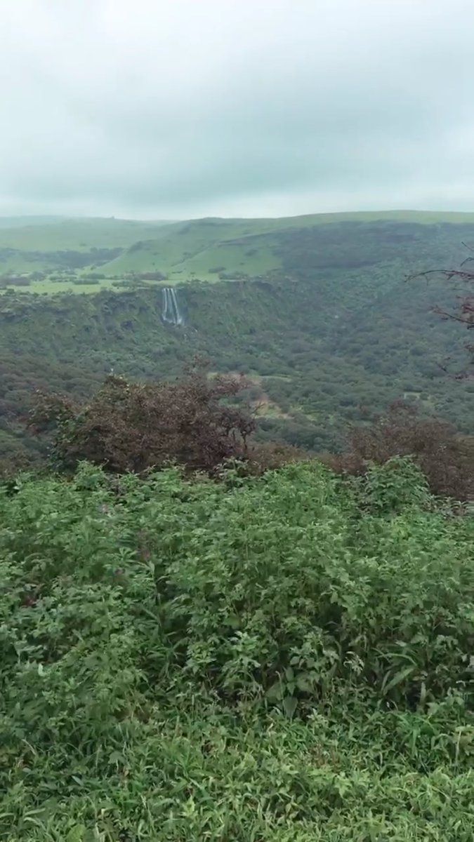 aabbaa446's tweet image. 