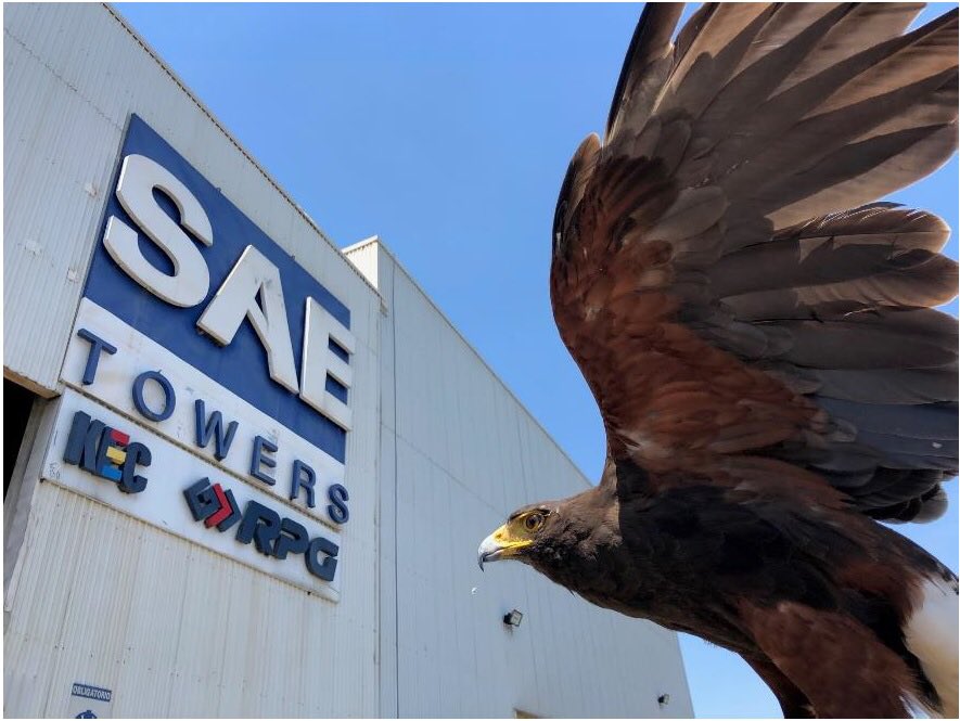 SaeTowers's tweet photo. Stronger than ever! https://t.co/NptwPsXDhg
