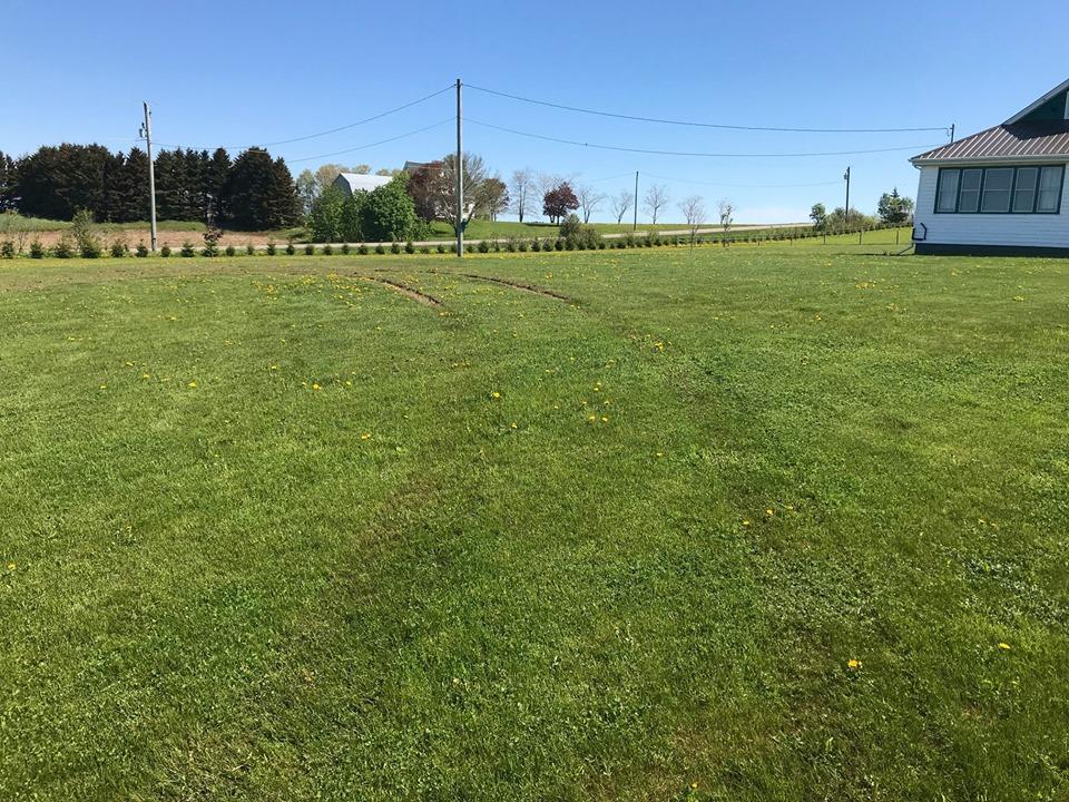 2019-06-07 vehicle entered a property located at 422 Jones Rd. Mt Herbert and did a donut in the yard&amp;tried to light spruce tree's on fire using motor oil. Contact Queens District RCMP or If you wish to remain anonymous, you can provide information to PEI Crime Stoppers
