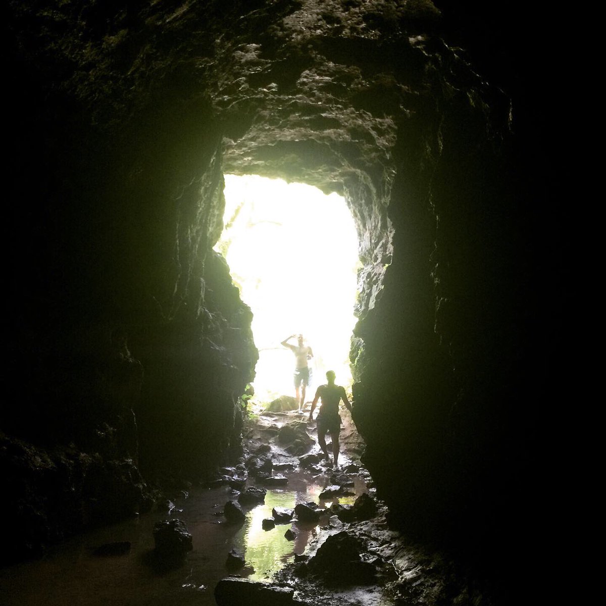 NoahSabich's tweet photo. It’s hard to describe how clean, clear, and captivating Echo Bluff and the Current River areas are. Spring-fed riverways; caves and bluffs; stone-lines bridges and cliff jumps. Go, go, go! It’s quasi-Edenic. #Water #Groundwater #Rivers #EchoBluff #CurrentRiver #Caves #Swimming https://t.co/kdqu0YepJd