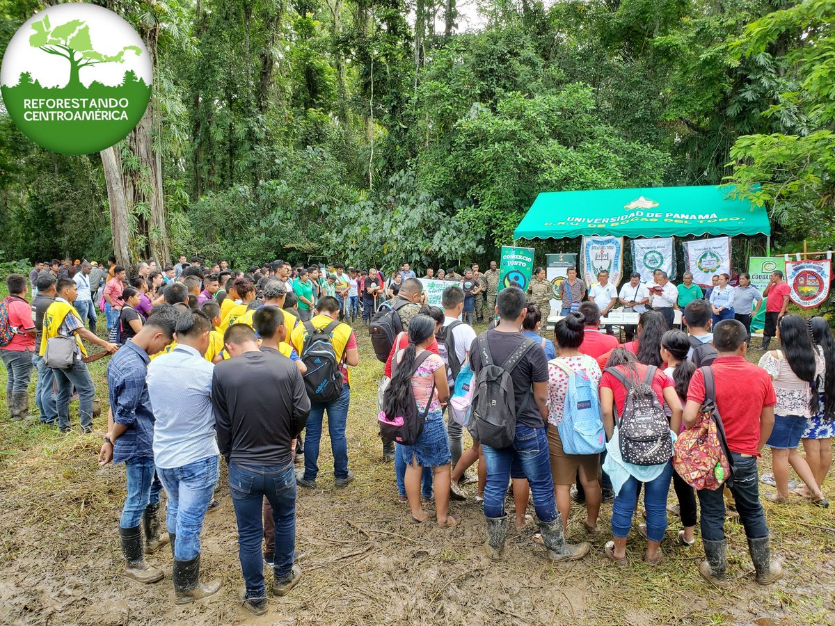 refcapanama's tweet photo. ¡Se Unieron a Toda Centroamérica! 🤲🌱🤲 300 Voluntarios se hicieron Presente 29 Junio 2019 en el Momento Cumbre de Reforestando Centroamérica 🌳 Coordinación Bocas del Toro, Panamá 🇵🇦 Un Resultado de 700 árboles 🌳 en la Finca de Coobana R.L. @refcapanama @BatallonGuabito https://t.co/DyWdAgHGzz