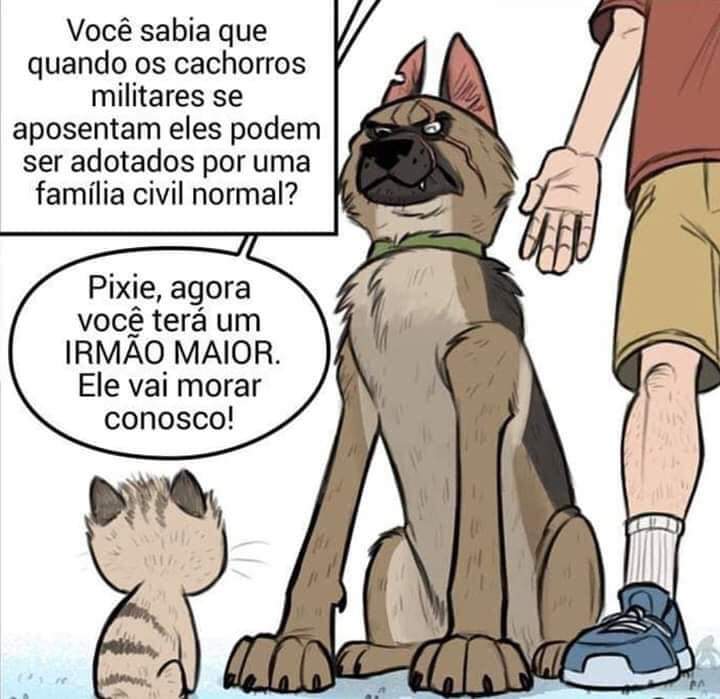 featsictos's tweet image. •°•° thread que vcs precisam ler até o fim °•°•