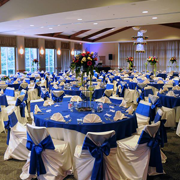 thebetter_half's tweet photo. Make your next event stand out by selecting a vibrant color palette. We're loving this blue! https://t.co/sK9alDHSEh