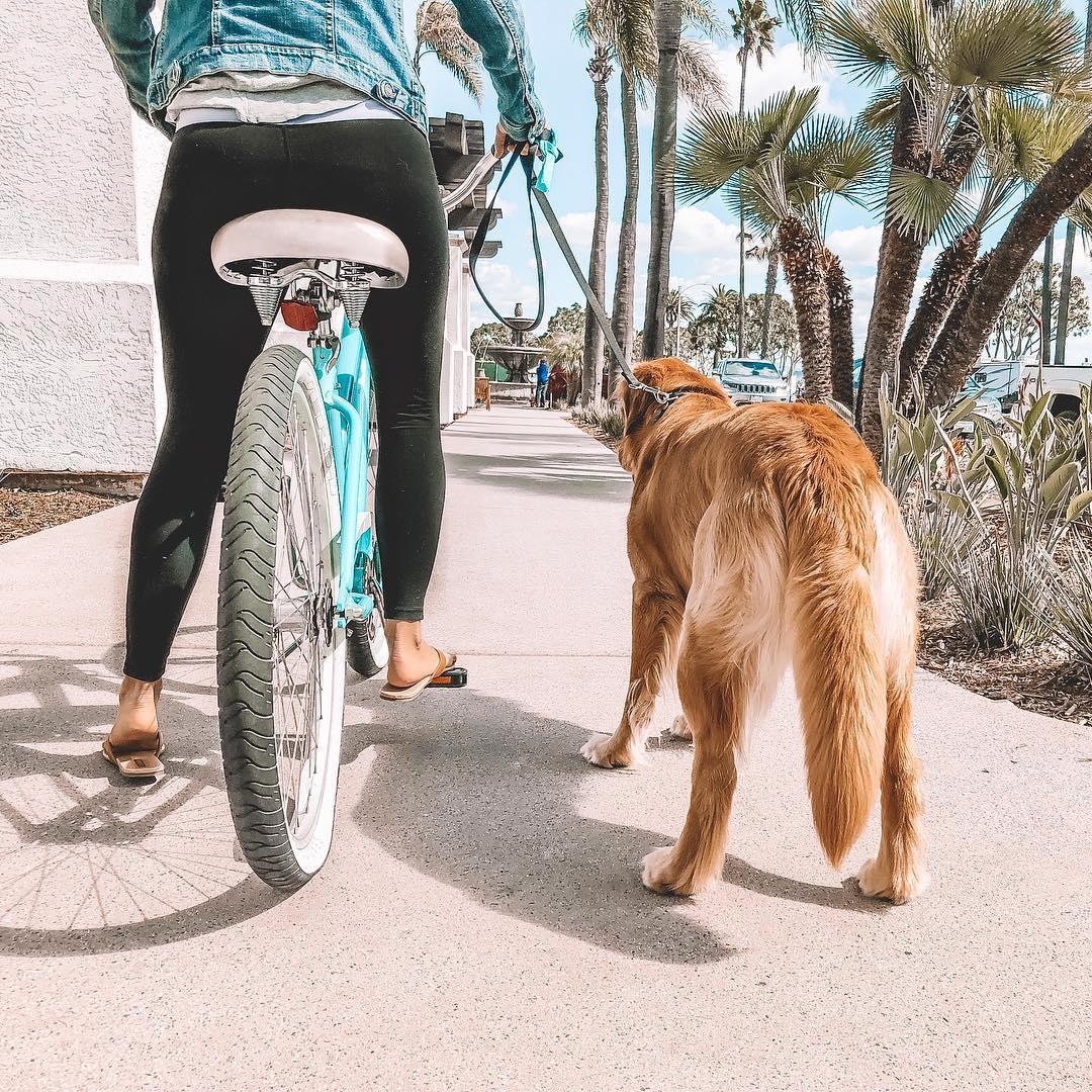 Kona Kai Resort (@konakaisd) on Twitter photo The best way to explore a new city is to gather your friends and hit the streets! π² With the first hour complimentary, enjoy exploring Shelter Island and the surrounding San Diego Bay as a guest of the Kona Kai Resort & Spa. <a href="/thedogmomager/">THE DOG MOMAGER</a> @starskythegoldie loving life π The best way to explore a new city is to gather your friends and hit the streets! π² With the first hour complimentary, enjoy exploring Shelter Island and the surrounding San Diego Bay as a guest of the Kona Kai Resort & Spa. <a href="/thedogmomager/">THE DOG MOMAGER</a> @starskythegoldie loving life π