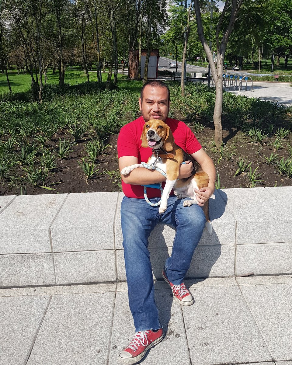 ednhzrdx's tweet photo. A veces pienso: '¿Qué es amigo?' y luego digo: 'Amigo es alguien con quien compartir la última galleta'.
#beagle #beagles #beagleboy #beaglesmexicanos #beaglesmile #grumpybeaglesunited #instagrambeagles #beaglestagram #beagleface #beaglebaby #beaglemania #puppy #dog https://t.co/ZvXSUZewQ5