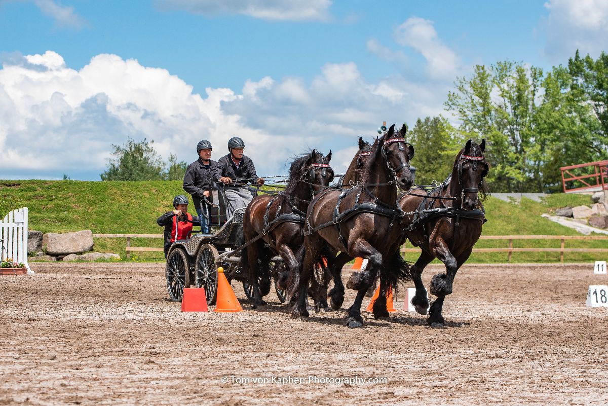 Catherine Levasseur première au CAI2* H1 Gerben Steenbeek gagne le CAI2* H4 / Catherine Levasseur wins the CAI2* H1 Gerben Steenbeek wins the CAI2* H4 - mailchi.mp/internationalb…