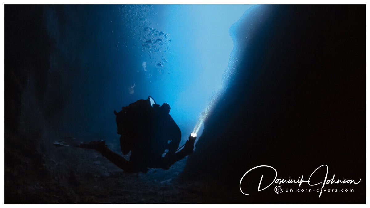 Dominik Johnson tweet media