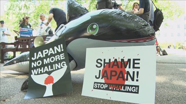 それは50人のデモ 日本は恥を知れ 商業捕鯨に反対しロンドンでデモ とテレ朝news なお 日本 Iwc脱退 商業捕鯨7月に再開 と日本経済新聞も報じる Togetter