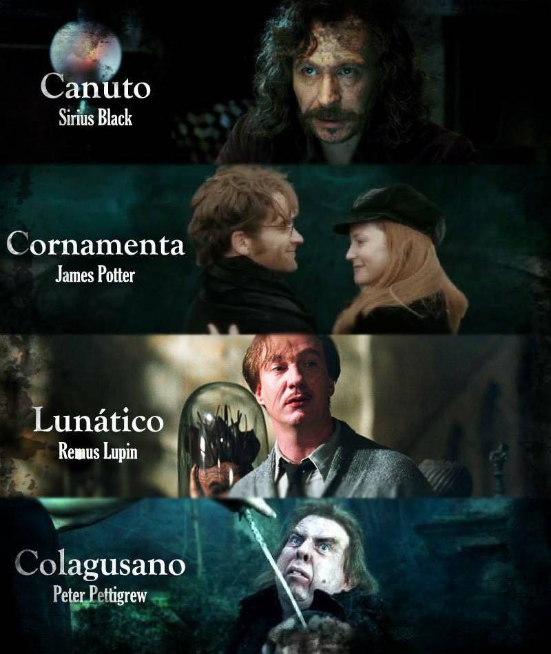 Harry Potter™▕⃝⃤ ⚯ ͛ tweet media