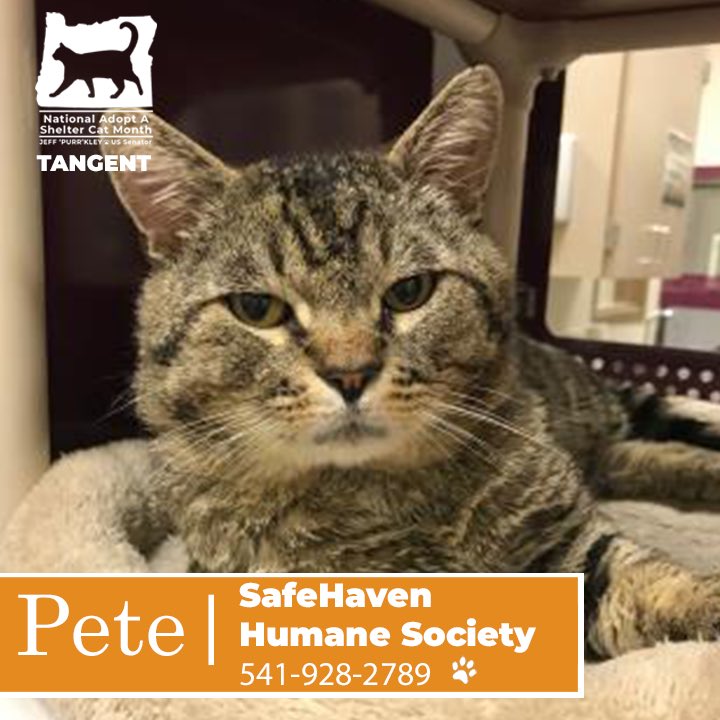 SenJeffMerkley's tweet image. instagram.com/p/BzWUZZgB_tL/…