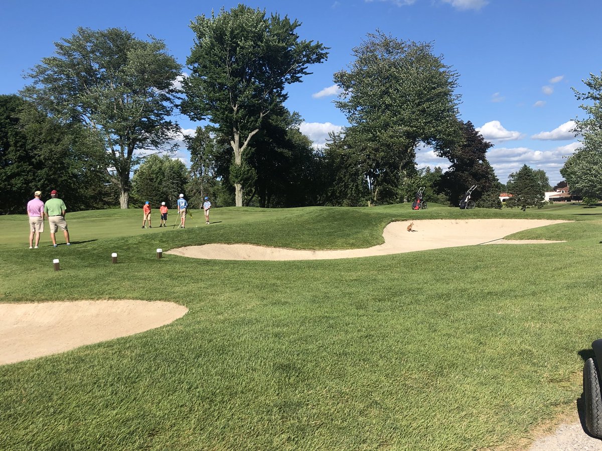 Spectator in the bunker during the <a href="/PGAjrLeague/">PGA Jr. League</a> match at <a href="/TransitValleyCC/">Transit Valley</a> today! 🦊
