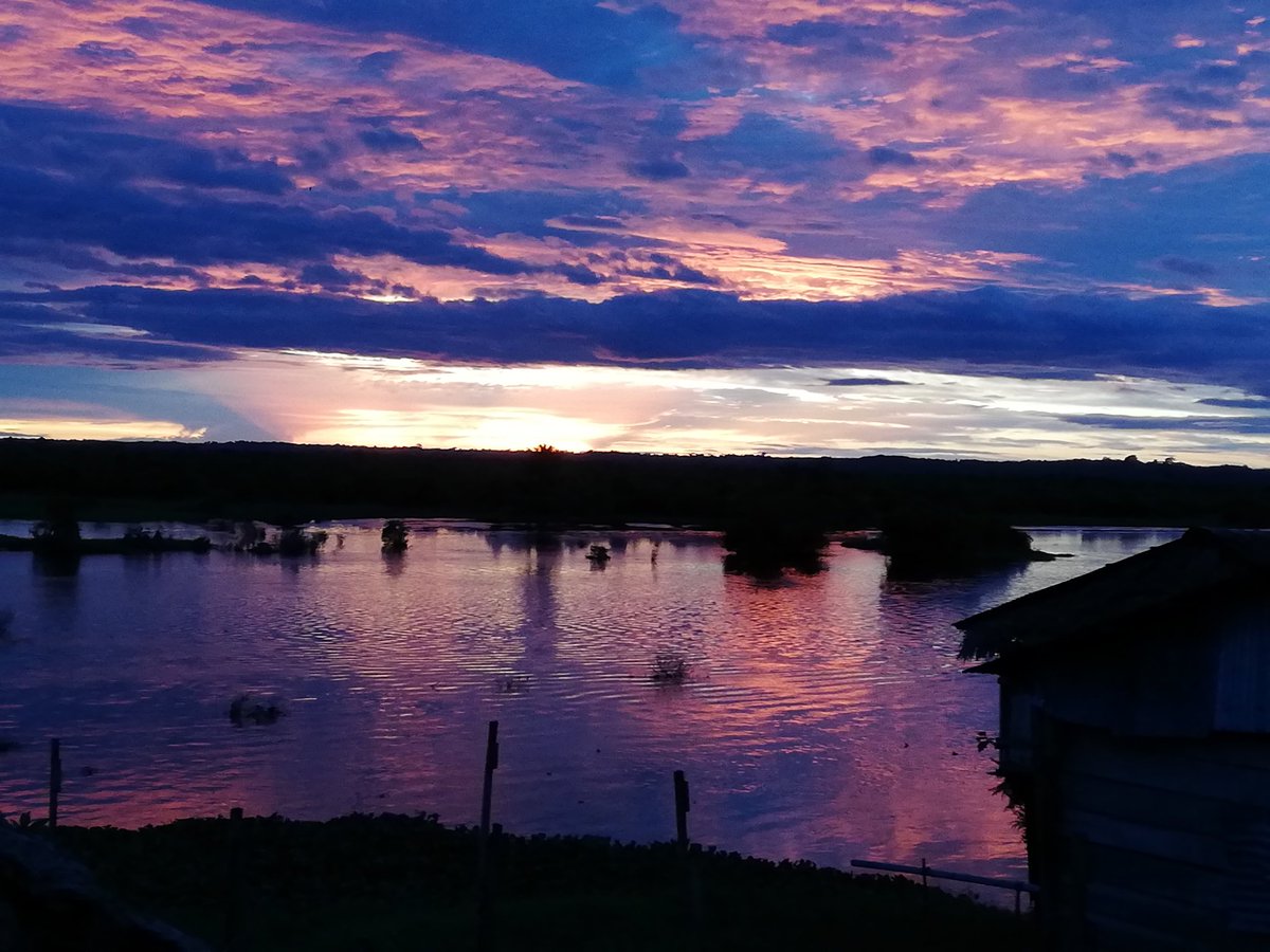 ceaesc's tweet image. Un atardecer que refleja todo lo bello que es la naturales. Moronacocha - Iquitos - Perú 🇵🇪