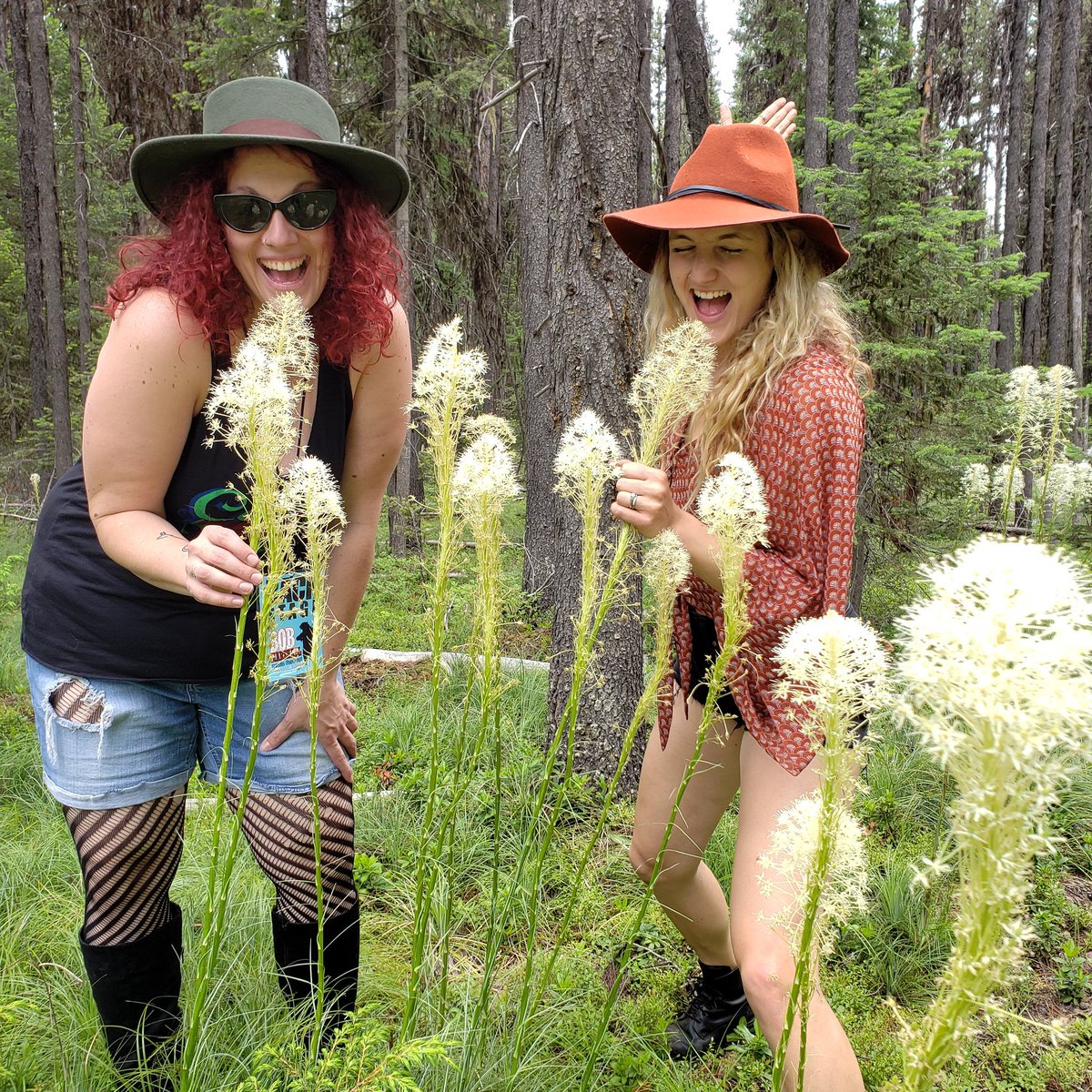 HawthorneRoots's tweet photo. The beargrass was abundant in the Flathead! Got a few days off before our only Bozeman show of the summer!!! @mapbrewing This Wednesday outside on the patio with full stage and sound! Check our Facebook page for a chance to win 2 tickets. Get yours in advance at our website. https://t.co/sIuEwKsYGa