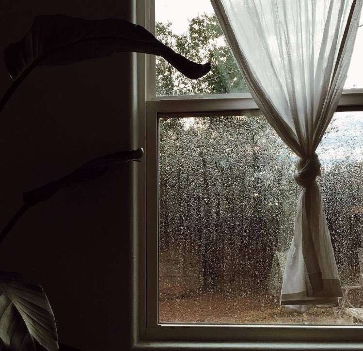 e95io's tweet image. بيت أحلامي🍂🎻.