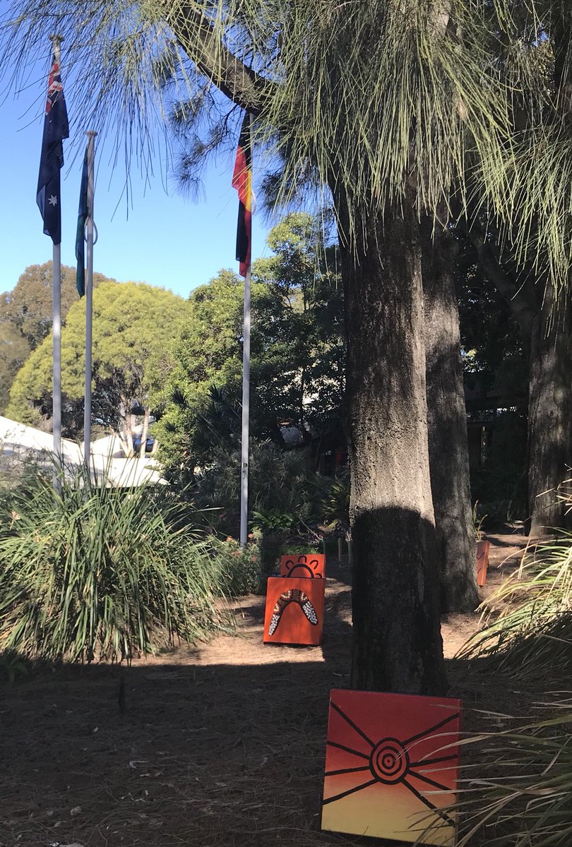 MSiokos's tweet photo. NAIDOC Week ceremony at Bossley Park PS Students, teachers &amp; community celebrating rich culture Voice Treaty Truth @RegionalSouthOD @NSWEducation https://t.co/kyDxnIE6RN