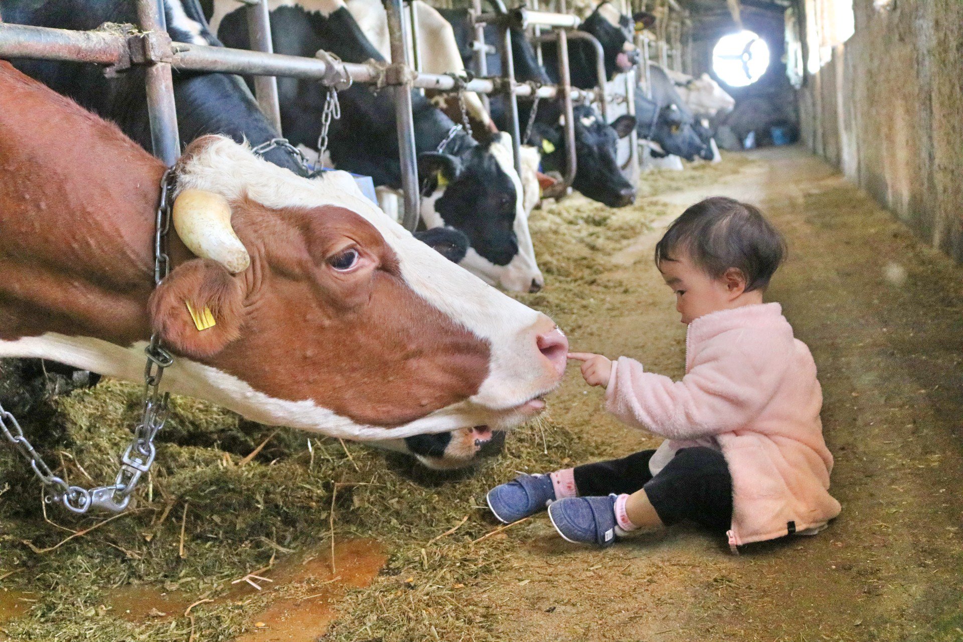 Snails Snails Twitter