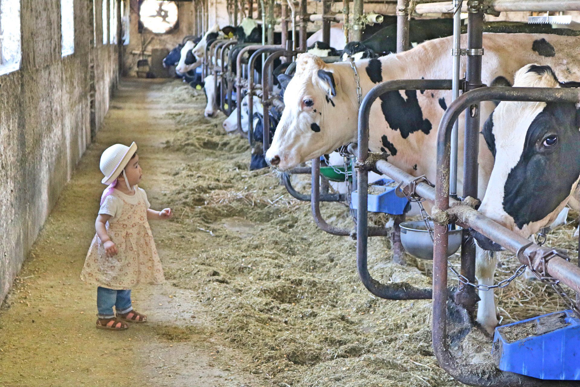 Snails Snails Twitter