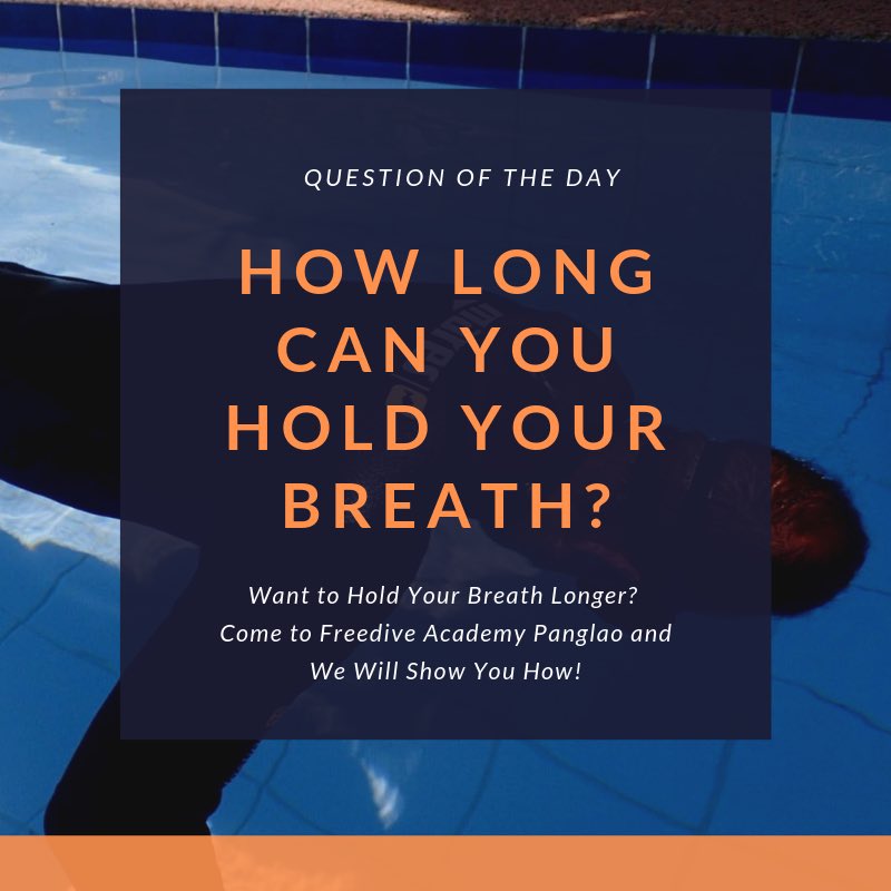 Breathhold. Can You Do It? Here’s a Question for you! Comment your answer below and let’s see who can hold it longer!👌Want to learn how? Come to Freedive Academy Panglao and we’ll show you how! #freediveacademy #divessi #godeeporgohome #breathhold #freediving #apnea #philippines