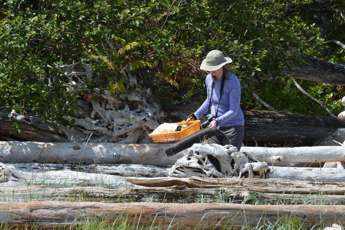 ValerieWynja's tweet photo. #LeaveItBetterThanYouFoundIt
During our #beach #sampling today along #DennyIsland, #HunterIsland and #CampbellIsland, I did a mini #shorelinecleanup. Some interesting #trash found along #OurCoasts: rope, #plastic, bags, and even a light up shoe(?!?). https://t.co/3gkmVYe5vf