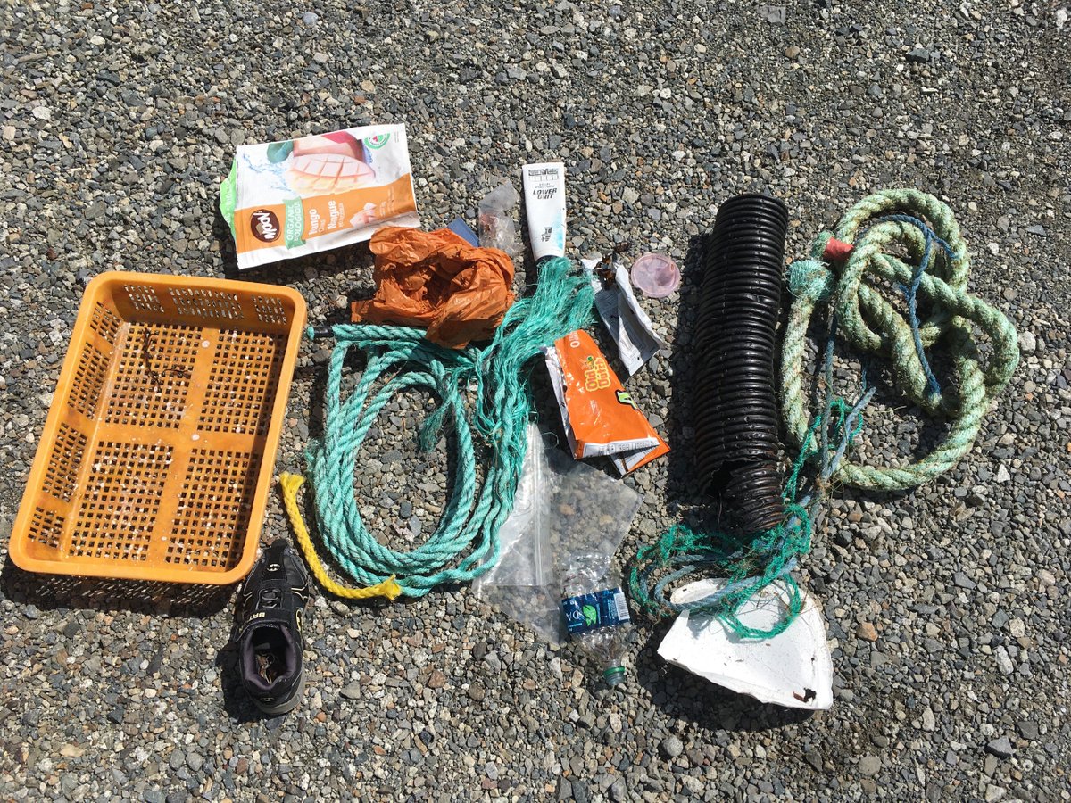 ValerieWynja's tweet photo. #LeaveItBetterThanYouFoundIt
During our #beach #sampling today along #DennyIsland, #HunterIsland and #CampbellIsland, I did a mini #shorelinecleanup. Some interesting #trash found along #OurCoasts: rope, #plastic, bags, and even a light up shoe(?!?). https://t.co/3gkmVYe5vf