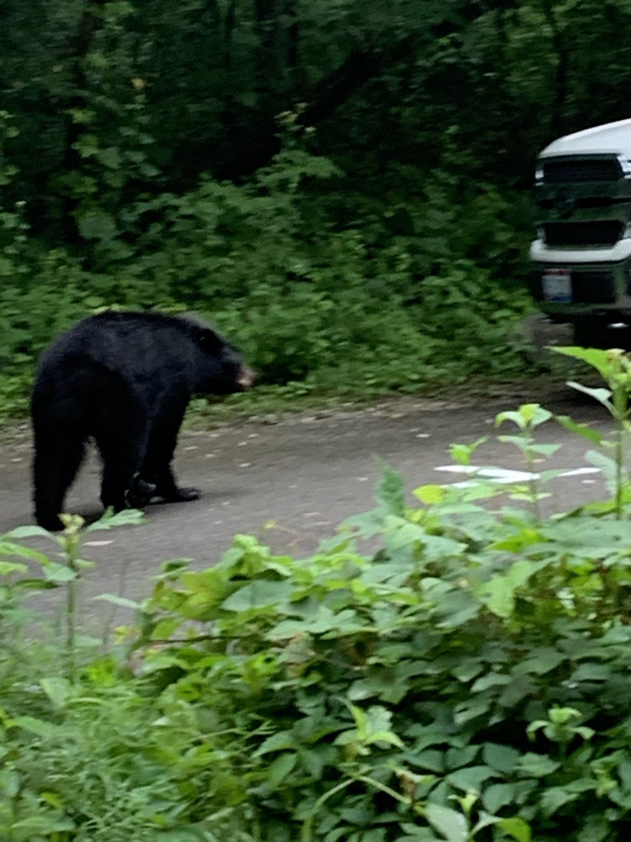 Burnt End Zone tweet media