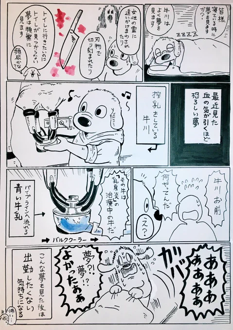 恐らく酪農業関係者にしか分からない話です…

〈解説〉
乳房が病気になり治療をしている牛の牛乳は出荷出来ないので、専用の器具で搾乳して破棄します。
そんな牛の牛乳を間違えて普通に搾乳し出荷用牛乳に混ぜてしまったら…

その日に搾っ… 