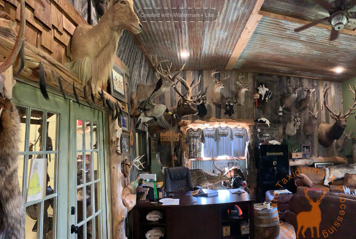 BACKYARDTax's tweet photo. Showroom Sunday!!! #backyardtax https://t.co/DDHIl9yxbq
