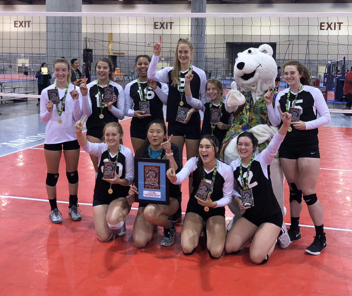 hein_terri's tweet photo. 2019 Phoenix volleyball festival 16u champs!! https://t.co/eNvHkssho8