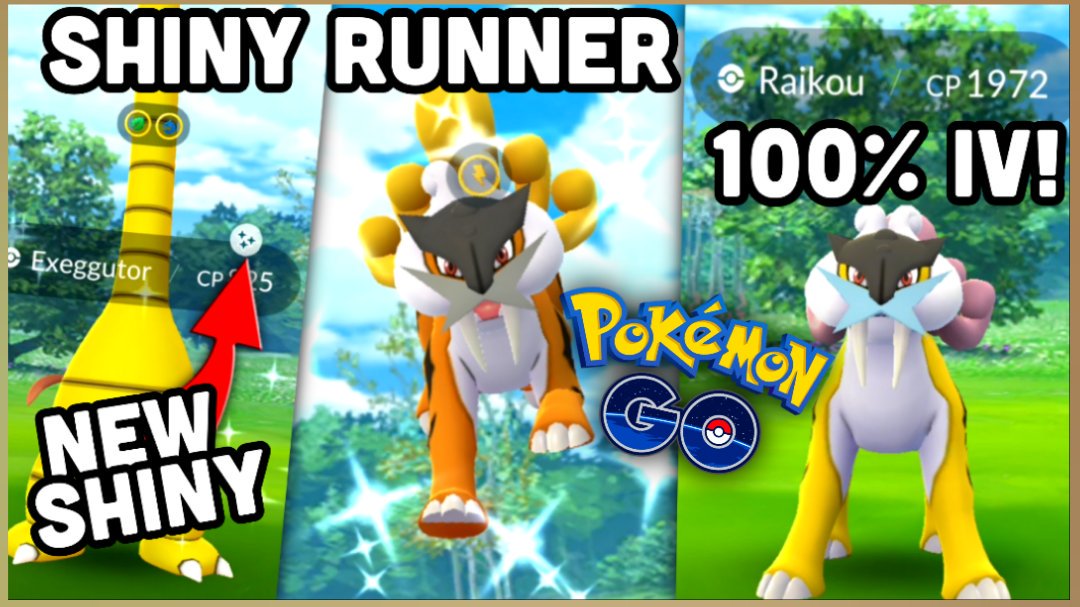 Pokemon Shiny Raikou 12