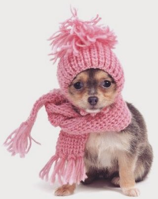 - que ta chiendo?
- ta chiendo frio.